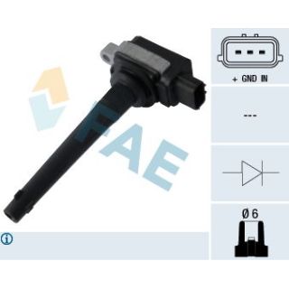 Ritė, uždegimas FAE 80288