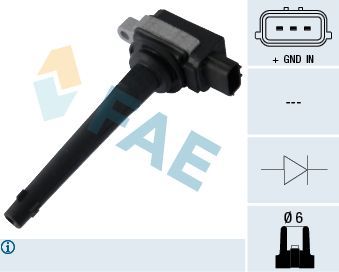 Ritė, uždegimas FAE 80288