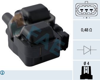 Ritė, uždegimas FAE 80294