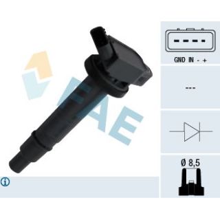 Ritė, uždegimas FAE 80301