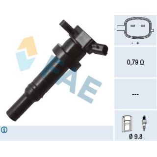 Ritė, uždegimas FAE 80314