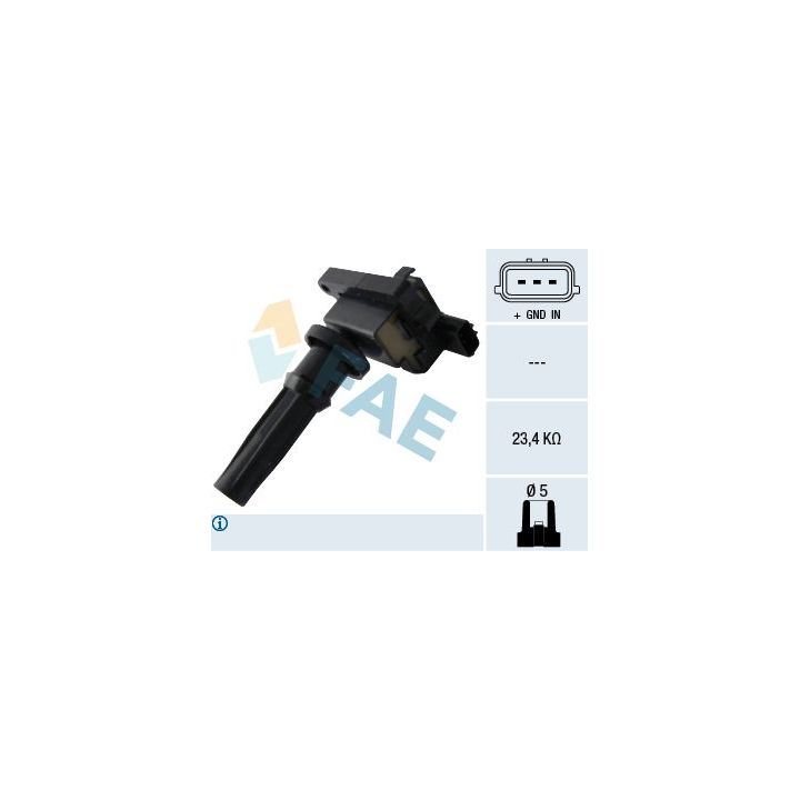 Ritė, uždegimas FAE 80316