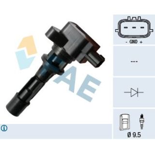 Ritė, uždegimas FAE 80328