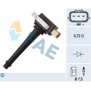 Ritė, uždegimas FAE 80330