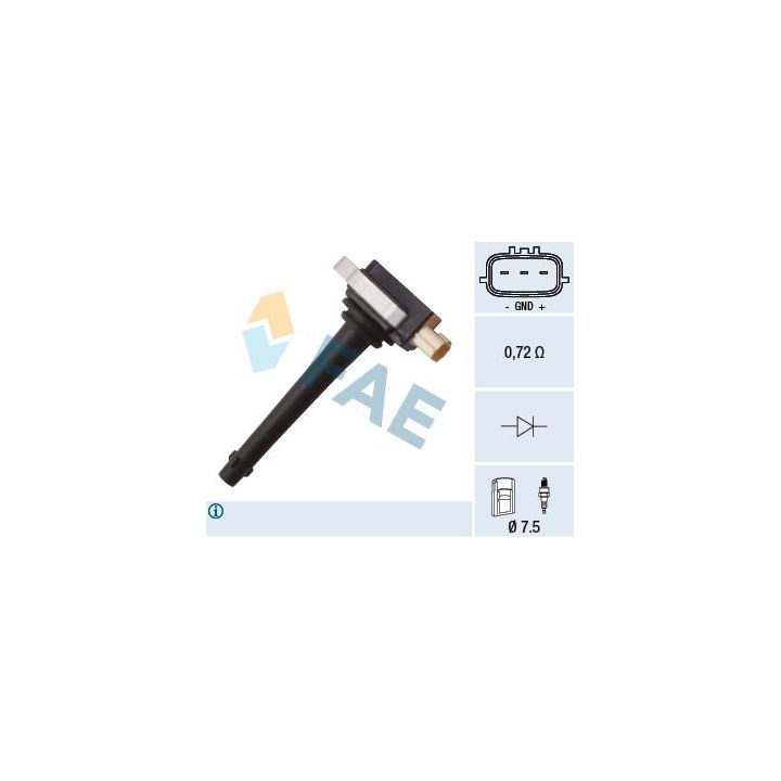 Ritė, uždegimas FAE 80330