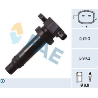 Ritė, uždegimas FAE 80331