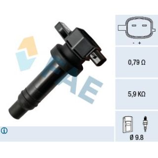 Ritė, uždegimas FAE 80332