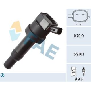 Ritė, uždegimas FAE 80333