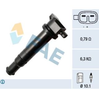 Ritė, uždegimas FAE 80334