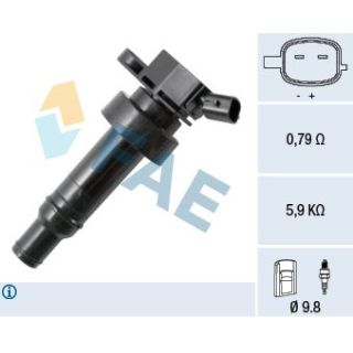 Ritė, uždegimas FAE 80335