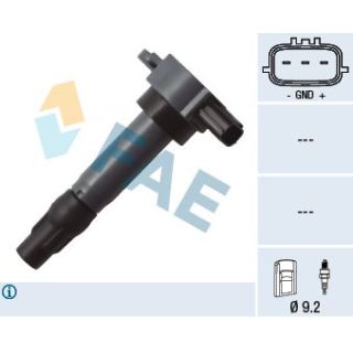 Ritė, uždegimas FAE 80339