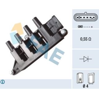 Ritė, uždegimas FAE 80340