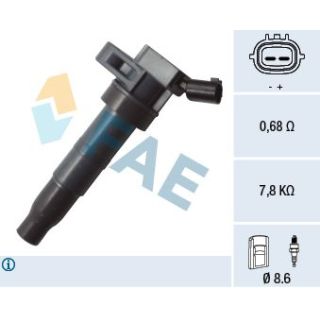 Ritė, uždegimas FAE 80341