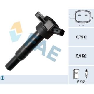 Ritė, uždegimas FAE 80342