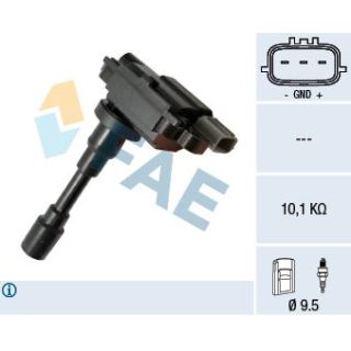 Ritė, uždegimas FAE 80343