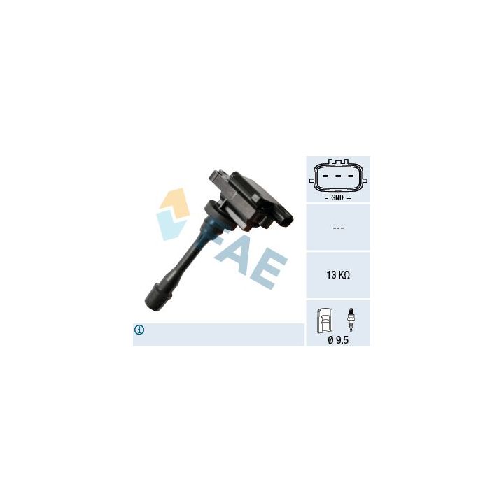 Ritė, uždegimas FAE 80346