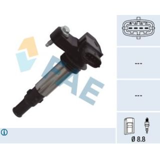 Ritė, uždegimas FAE 80355