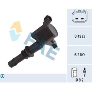 Ritė, uždegimas FAE 80360