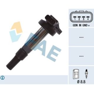 Ritė, uždegimas FAE 80361