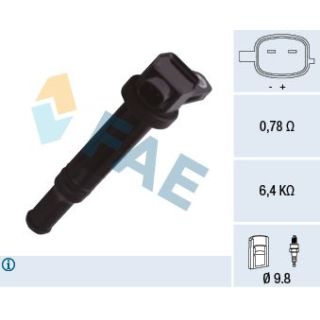 Ritė, uždegimas FAE 80363