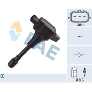 Ritė, uždegimas FAE 80372