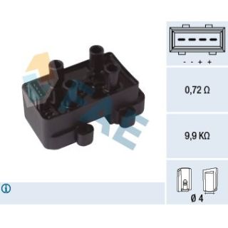 Ritė, uždegimas FAE 80373
