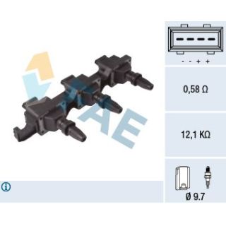 Ritė, uždegimas FAE 80374