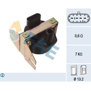 Ritė, uždegimas FAE 80377