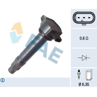 Ritė, uždegimas FAE 80380