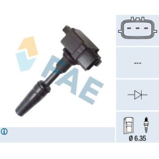 Ritė, uždegimas FAE 80382