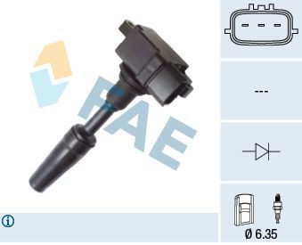 Ritė, uždegimas FAE 80382