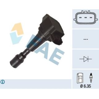 Ritė, uždegimas FAE 80383