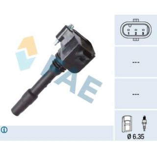 Ritė, uždegimas FAE 80384