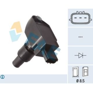 Ritė, uždegimas FAE 80389