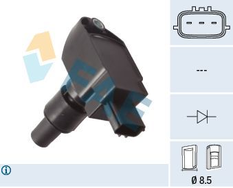 Ritė, uždegimas FAE 80389