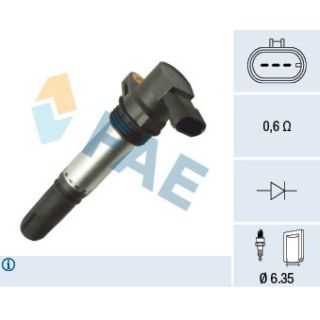 Ritė, uždegimas FAE 80392