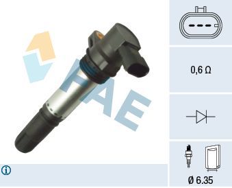 Ritė, uždegimas FAE 80392