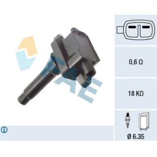 Ritė, uždegimas FAE 80395