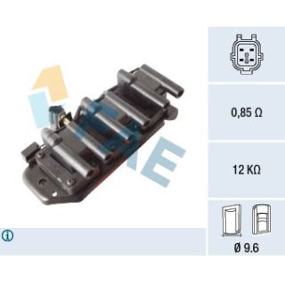 Ritė, uždegimas FAE 80401