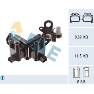 Ritė, uždegimas FAE 80402