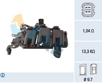 Ritė, uždegimas FAE 80403