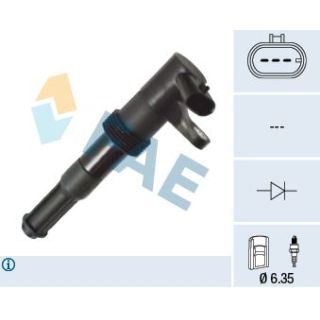 Ritė, uždegimas FAE 80416