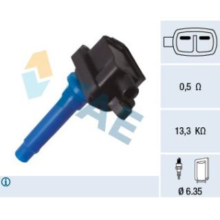 Ritė, uždegimas FAE 80420