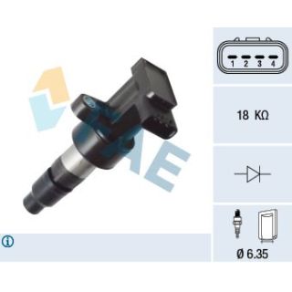 Ritė, uždegimas FAE 80421