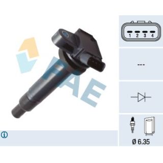 Ritė, uždegimas FAE 80424