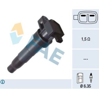 Ritė, uždegimas FAE 80425