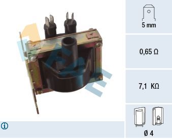 Ritė, uždegimas FAE 80430