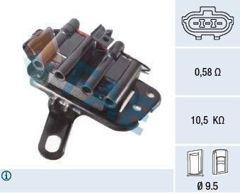 Ritė, uždegimas FAE 80432