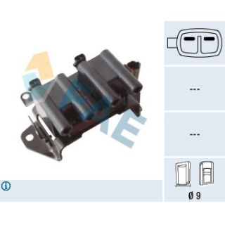 Ritė, uždegimas FAE 80434