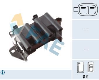 Ritė, uždegimas FAE 80434